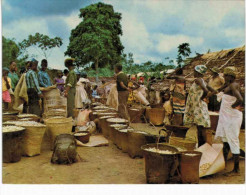 Afrique - Gabon - Marché D'arachides Dans La N'Gounié - Gabon