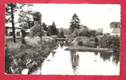 95-Bray-lu-les Bords De L'epte- Taille Cpa  écrite - Bray-et-Lû