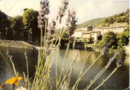 Valleraugue Ambiance Fleurie Au Confluent De L'Hérault Et Du Clarou Bon Etat Pli Coin Haut Gauche - Valleraugue