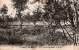 SENART - Forêt De Senart - La Mare-aux-Biches - Sénart