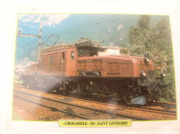 Fiche Technique Et Historique :  Locomotive "Crocodile" Du Saint Gothard - Suisse 1920 - Railway