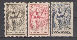 Guadeloupe  Y/T   Nr  200/202**  (a6p12) - Neufs