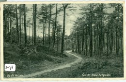 OP DE VELUWE  * ANSICHTKAART * CPA GELOPEN IN 1936 Van NUNSPEET Naar AMSTERDAM (3078) - Nunspeet