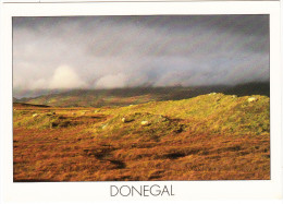 Donegal (Sheep) - Ireland / Eire - Donegal