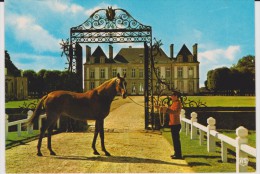 Orne : LE  HARAS  Du  PIN  :   Carmathen  ( étalon ) - Exmes