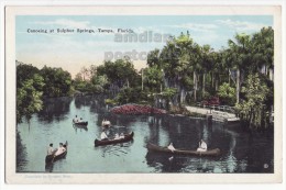 TAMPA FL, CANOEING AT SULPHUR SPRINGS PARK ~ Ca1920s Vintage Florida Postcard ~ LAGOON - Tampa
