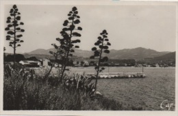 LES LECQUES CPSM  VUE VERS LA PLAGe - Les Lecques