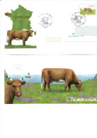 Enveloppe Entier Postale Oblitérée F. D. C. Race Bovine L'Armoricaine + Bristol Correspondance / Phare - Moskeeën En Synagogen