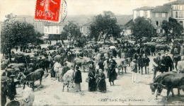 PUYLAURENS - MARCHÉ AUX BOEUFS - Puylaurens