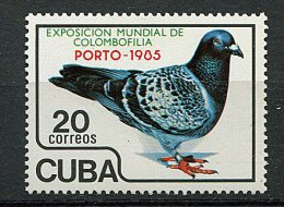 Cuba ** N° 2594 - Oiseaux : Pigeon Voyageur - Nuevos