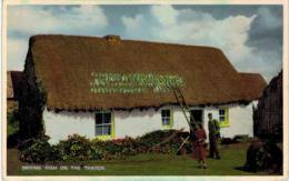 Irlande - Drying Fish On The Thatch (maison Typique De Donegal D'après Le Texte Manuscrit Au Dos) - Donegal