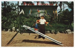 TAMPA FLORIDA BUSCH GARDENS BIRD SHOW- MACAW PARROT SOPHIE ON THE SLIDE - 1960s Vintage Postcard - FL - Tampa