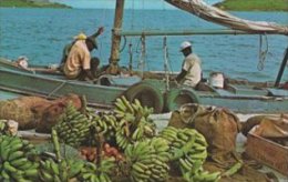 Native Sloops With Fruits.  Virgin Islands.    S-1427 - Britse Maagdeneilanden