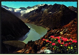 Zementkraftwerke Zillertal  -  Schlegeis-Stausee  -  Blick Auf Schlegeiskees  -  Ansichtskarte Ca. 1975    (3700) - Zillertal