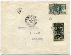 MAURITANIE TIMBRE-TAXE 20 C PALMIER SUR LETTRE LOCALE (1906) - Covers & Documents