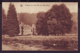 Carte Postale - Château De Ste ODE Par Baconfoy - CPA  // - Sainte-Ode