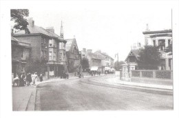 CHAPEL ROAD WORTHING 1906 WEST SUSSEX LIBRARY REPRO UNUSED SMALL SIZE POSTCARD - Worthing