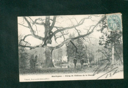 Montlignon (95) - Etang Du Chateau De La Chasse ( Animée Ed. Vialard Nouveautes Quincaillerie ) - Montlignon