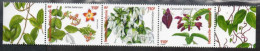 Nelle-CALEDONIE : Flore : Lianes Ornementales De Nelle-Calédonie (Aria Balansae, Oxera Brevicalyx, Canavalia Favieri) - - Unused Stamps