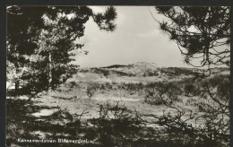 BLOEMENDAAL Kennemerduinen Nord-Holland Nederland Echte Foto - Bloemendaal