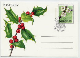 NORWAY 1981 Christmas Overprinted Postal Stationery Letter Sheet, Cancelled.  Michel K53 - Entiers Postaux