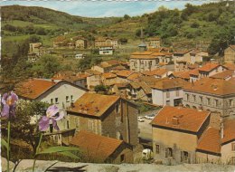 OLLIERGUES (Puy De Dome ) -F/G Colore  (250709) - Olliergues