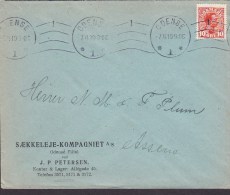 Denmark SÆKKELEJE-KOMPAGNIET Filial V. J. P. Petersen ODENSE 1919 Cover Brief To ASSENS (2 Scans) - Lettres & Documents