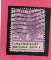 ITALY KINGDOM ITALIA REGNO 1924 PARASTATALI CASSA NAZIONALE ASSICURAZIONI SOCIALI CENT. 50 USED - Franchise