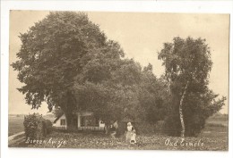 S1220 - Oud Ermelo - Boerenhuisje - Ermelo