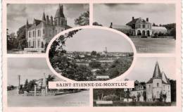 Saint Etienne De Montluc - Multivue - Saint Etienne De Montluc