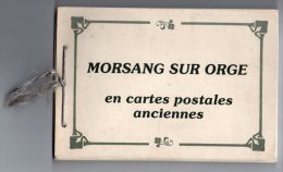 98H) D91 - MORSANG SUR ORGE EN CPA - 24 VUES - 22X15 Cm - Morsang Sur Orge