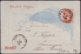 BRESIL - CARTE ENTIER POSTAL DE PARANA - 1895 - Interi Postali