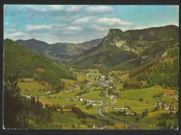 SCHWARZAU Im Gebirge Niederösterreich Neunkirchen Gasthof Pension Strasser - Neunkirchen