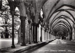 BF33136 The Cloisters Salisbury Cathedral Uk  Front/back Image - Salisbury