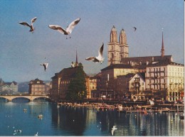 SUISSE,HELVETIA,SWISS,SWI TZERLAND,SCWEIZ,SVIZZERA, ZURICH ,ZURI,ZURIGO,il Y A 50 Ans,CYGNE,PORT - Zürich