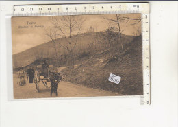 PO8143C# TORINO - STRADALE DI SUPERGA - CARROZZA ASINO   No VG - Multi-vues, Vues Panoramiques