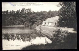 Cpa Du 56 Les Forges De Salles étang Inférieur ........ Cleguerec Sainte Brigitte Perret  JUI11 - Cleguerec