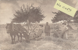 BONNEVAL (Environs De...) :Hameau De Guibert -Travail Des Femmes Dans Les Champs (Guerre De 1914) - Superbe Carte Photo - Dreux