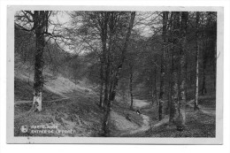 Carte Postale - MARTELANGE - Entrée De La Forêt - CPA  // - Martelange