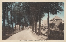 ( CPA 62 )  AUXI-LE-CHÂTEAU  /  Avenue Du Bois  - - Auxi Le Chateau