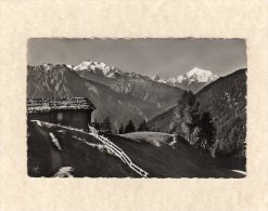 49743    Svizzera,   Bei Riederalp,  Aletschgebiet,  Mischabel - Matterhorn -  Weisshorn,  VG  1951 - Riederalp