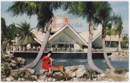 TAMPA FL, BUSCH GARDENS HOSPITALITY HOUSE~WOMAN FEEDING DEER~c1960s Vintage Florida Postcard - Tampa