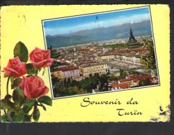 J266 Torino, Vedute Views Con Fiori, Fleurs Flowers - Marcofilia ( Marcophilia ) Targa Storia Postale 1971 - Multi-vues, Vues Panoramiques