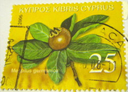 Cyprus 2006 Fruits Of Cyprus Mespilus Germanica 25c - Used - Used Stamps