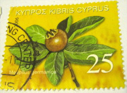 Cyprus 2006 Fruits Of Cyprus Mespilus Germanica 25c - Used - Used Stamps