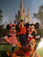 Carte Walt Disney World  Mikey Minnie Pluto Dingo - Disneyworld