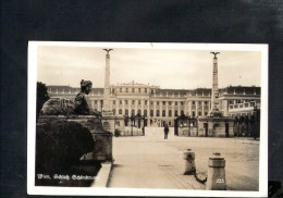 F2390 Wien, Schloss Schonbrunn - Castello, Castle, Chateau - Vienna - Old Small Card - Schönbrunn Palace