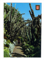 Monaco: Jardin Exotique, Cactus (14-3432) - Jardin Exotique