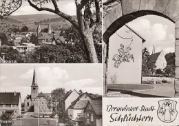 5479- SCHLUCHTERN- VILLAGE PANORAMA, GATE, CLOISTER, POSTCARD - Schluechtern