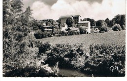 Saint Palais - Vue Sur Le Pont Et La Minoterie - Gaby 5 - Non Circulée - Petite Dentelée - Tbe - Saint Palais